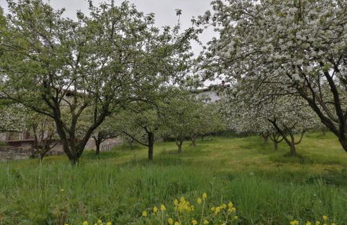 Sagardikoetxea II - Foto 15