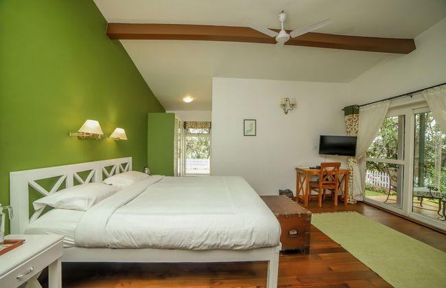 Rayne Forest - Foto 2