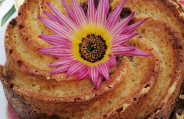 Carvalhal Redondo - Farm House - Foto 22