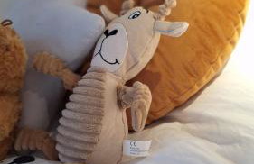 Villa M St Arnoult - Foto 21