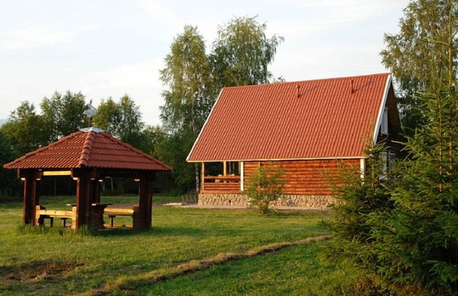 Kolkunovo - Photo 49