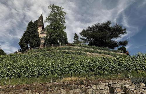 Ferienwohnung JoSi - Foto 5