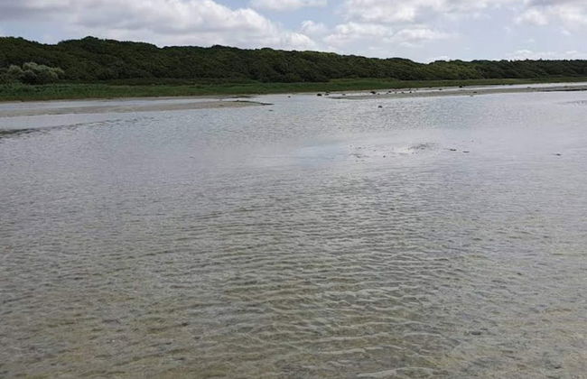 4 Person Holiday Home in Jaegerspris - Foto 31