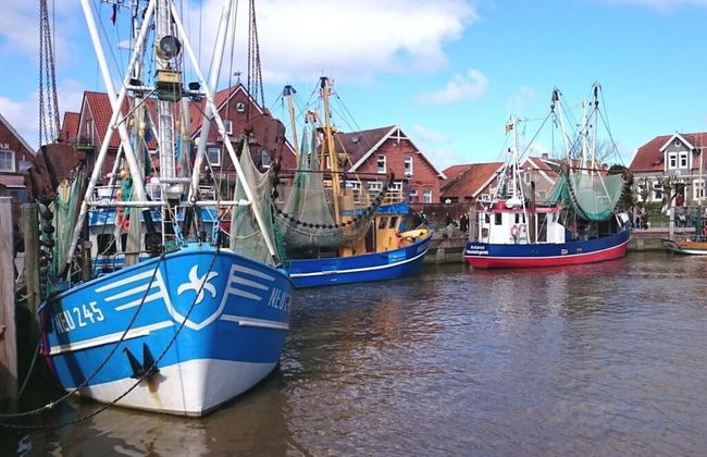 Dyke Space 50 m to the Beach sea - Foto 22