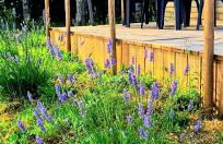 Le Relais de D'Artagnan - Foto 2