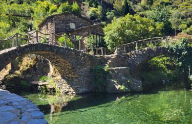 Free Spirit - Photo 15