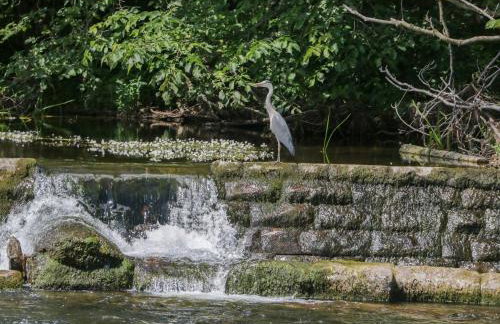 The Jubilee Roost at Eamont Park - Foto 10