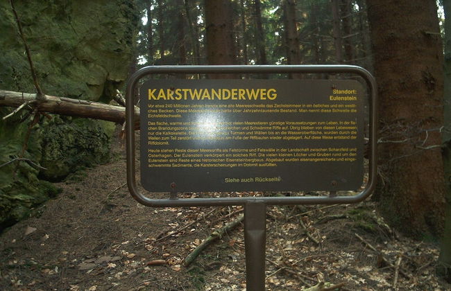 Ferienwohnung Stricker Bad Sachsa - Foto 12