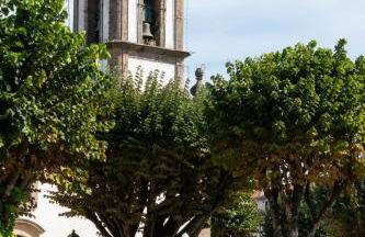 Renovated Historic House T2 - Foto 32