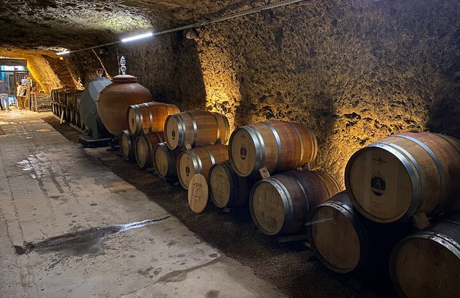 "BODEGAS AMBACIA", Tour y Cata de Vinos en Amboise, Valle del Loira - Foto 8