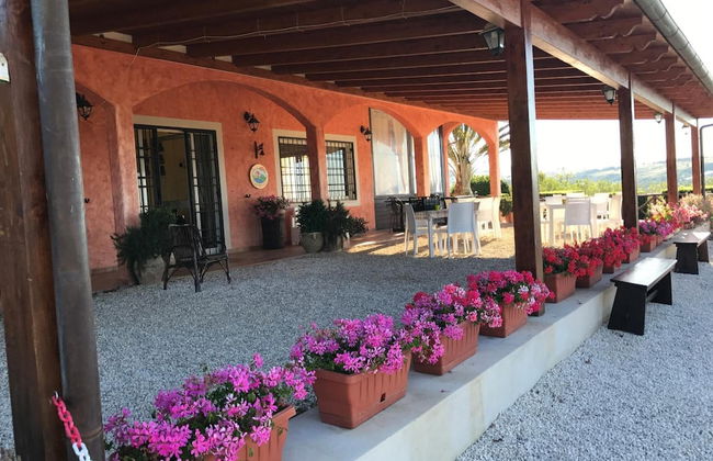 I Cardinali - Foto 49