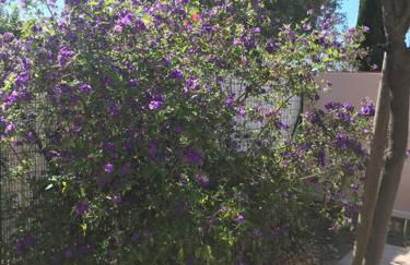 Sainte Marie la mer : Villa indépendante, plage à pied à 250 m - Foto 24