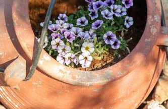 Villa Niovi - Photo 18