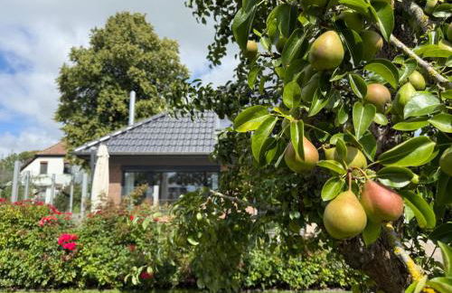 Nordseeurlaub im hochwertigen Feriendomizil Rosenhuus mit Sauna und Kamin im idyllischen Butjadingen - Foto 10