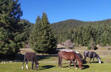 Koukouvistahouse - Foto 21