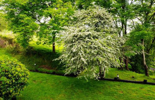 Hotel-Apartamento Rural Atxurra - Foto 29