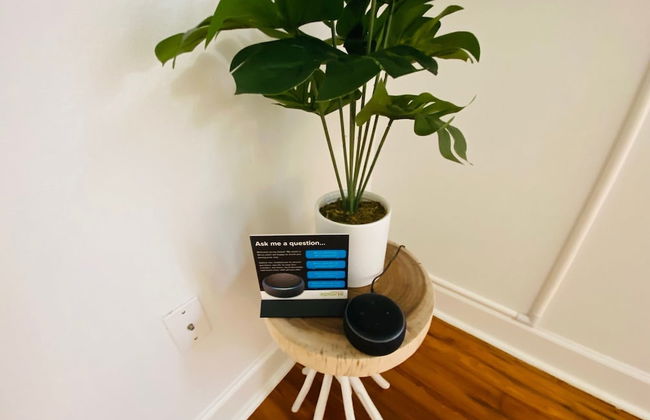 La Tortuga - Foto 39