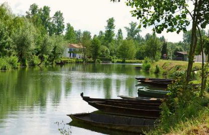 La Libellule - Foto 10