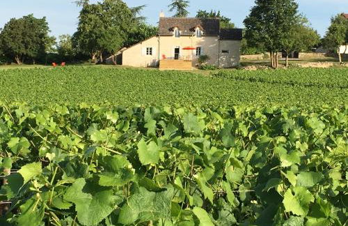 La Maison du Clos du Roi - Foto 7