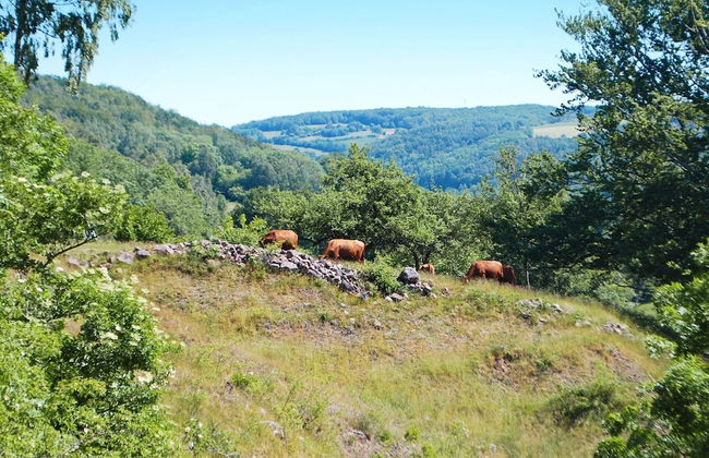 5 Star Holiday Home in Grevie - Foto 13