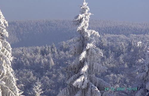 Ferienwohnung Hauptmann - Foto 33