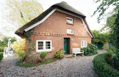 Reetdachkate - Foto 37