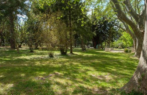 Mas 9 Romanin - Mas Provençal Familial - Foto 37