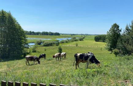 Biebrzaski - dom nad Biebrzą - Foto 36