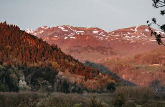 Les Terrasses du Grillon - Photo 62