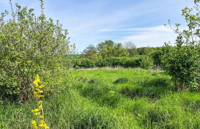 Peaceful Escape in Neu Karin - Photo 38