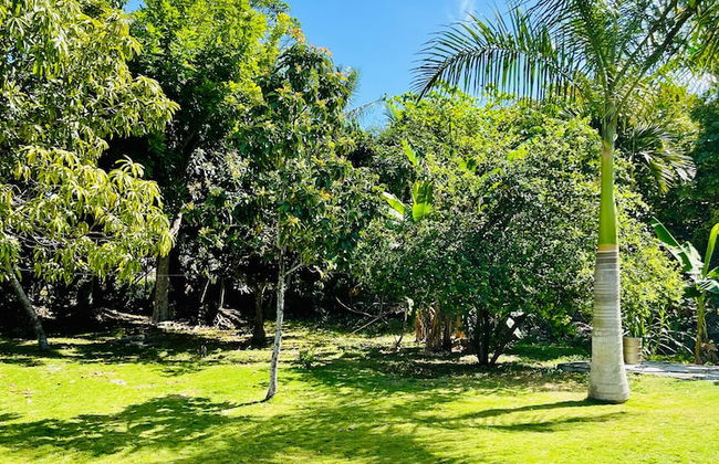 Dawsons Hideaway - Foto 58