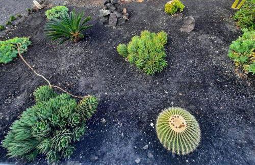 Casa Vista Mar. - Foto 23