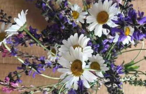 La Maison. La Roccia dello Stambecco - Foto 21