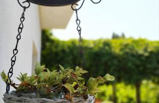 New apartment, amazing view Alli Meria near Pelion - Foto 21