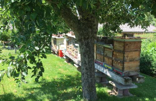 Ferienwohnung auf idyllischer Hofanlage in Lippe - Foto 42
