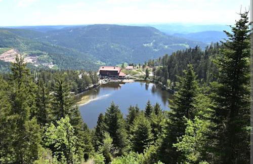 Kappler Nest - Foto 13