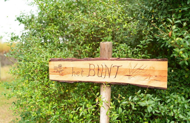 Cottage in Schijf With Garden - Foto 13