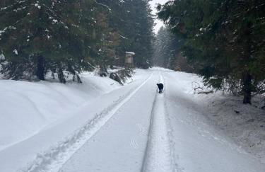 Ländliche Fewo Wildblume, 4 km zum Stausee - Foto 22