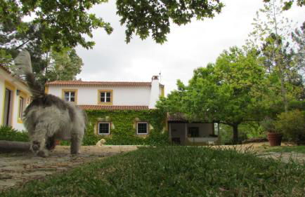 Quinta do Troviscal - Foto 56