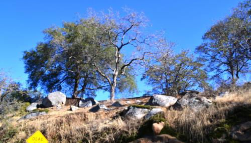 Shady Knoll - Photo 2