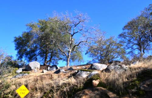 Shady Knoll - Photo 2