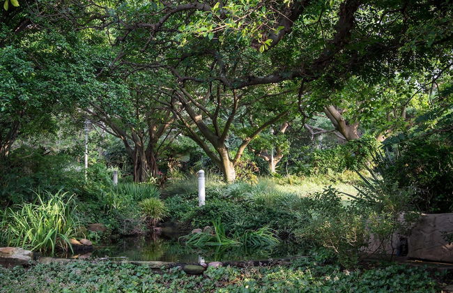 302 Oyster Schelles - Foto 28