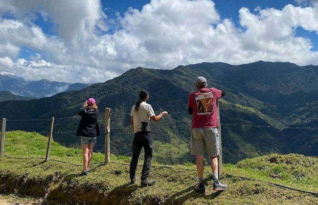 Excursion privée au sanctuaire de palmiers à cire de Tochecito - Photo 7