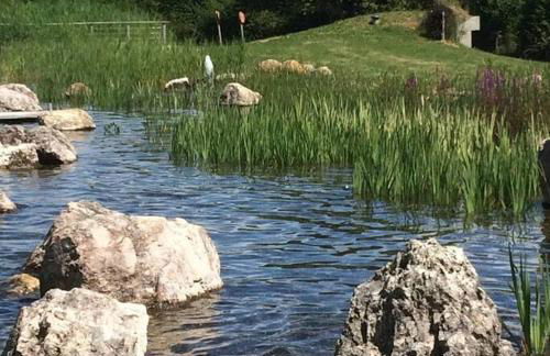 Détente à Mont-près-Chambord - Foto 19