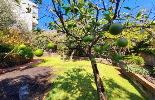 Dimora Migliori - Foto 9