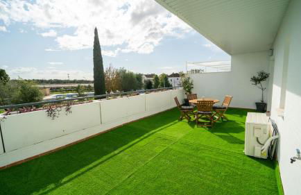 Olivar de Gines a un paso de Sevilla - Foto 7