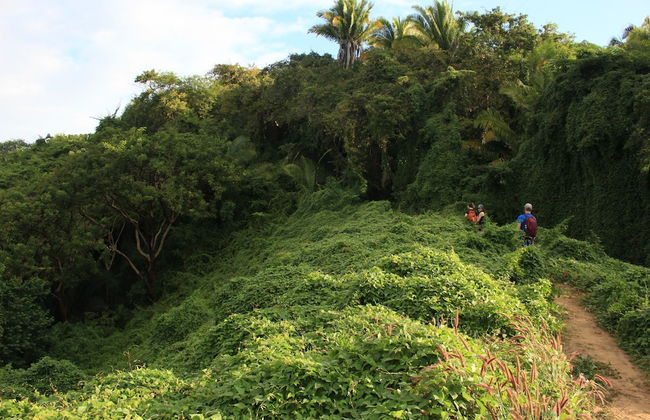 Punto Mita Eco Surf Suites & Café - Foto 17