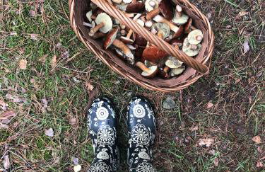 Zakole Brdy - Foto 61