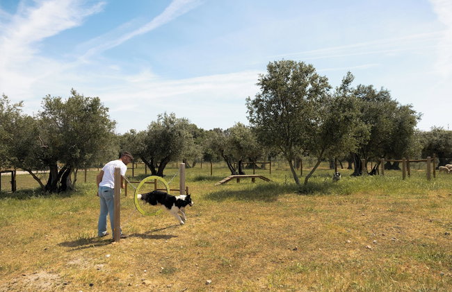 Quinta da Amendoeira - The Farmhouse - Photo 36
