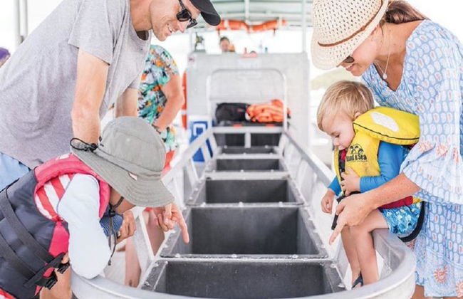Crociera di un giorno alla scoperta della fauna marina di Tangalooma Island - Foto 3